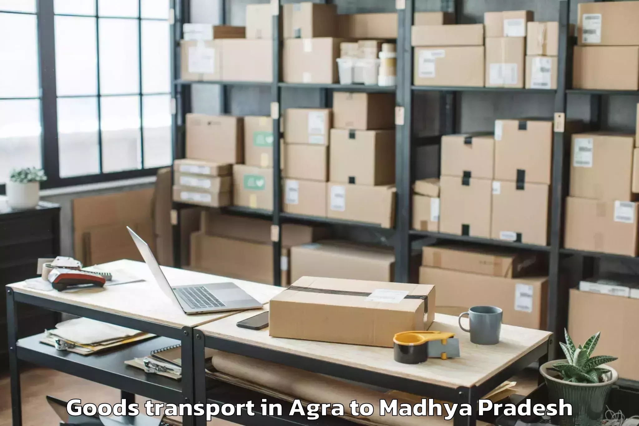 Comprehensive Agra to Hatod Goods Transport